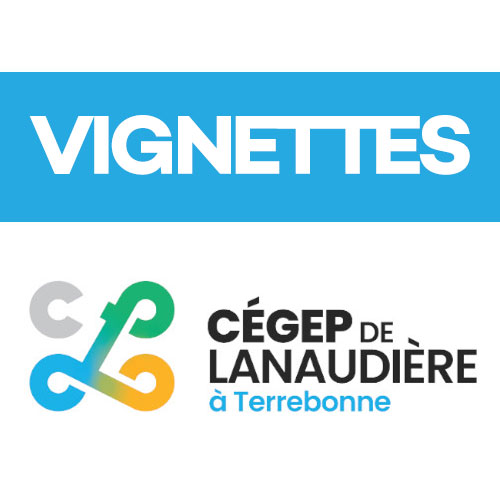 VIGNETTES